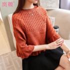 3/4-sleeve Cable Knit Panel Sweater