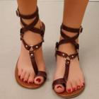Buckled Toe Loop Gladiator Sandals