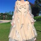 Long-sleeve Embroidered Midi Mesh Lolita Dress