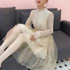 Long-sleeve Mesh Overlay A-line Dress