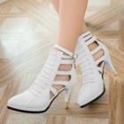 Pointed High Heel Cut Out Boots