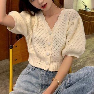 Short-sleeve Perforated Knit Blouse