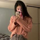 Long-sleeve Turtleneck Top / V-neck Cable Knit Sweater