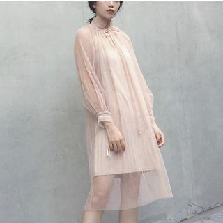 Set: Long-sleeve Mesh Dress + Slipdress