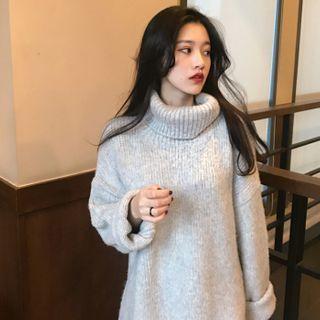 Turtle Neck Long-sleeve Plain Sweater