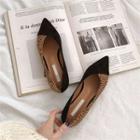 Pointy-toe Color-block Flats