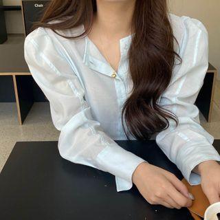 Long-sleeve Sheer Blouse Blue - One Size