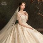Short-sleeve Ball Gown Wedding Dress / Long Train Wedding Dress / Wedding Veil / Set