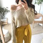 Plain V-neck Cropped Long-sleeve Sweater