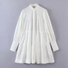 Polka Dot Embroidered Mini A-line Shirtdress