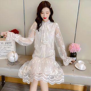 Long-sleeve Tie-neck Embroidered Mesh A-line Dress
