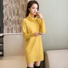 Long-sleeve Turtleneck Sweater Dress