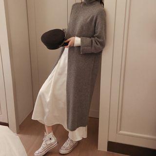 Turtleneck Knit Panel Dress