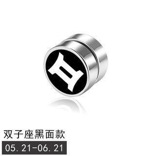 Stainless Steel Zodiac Sign Magnetic Through & Through Earring
