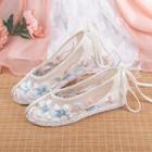 Embroidered Mesh Hanfu Shoes