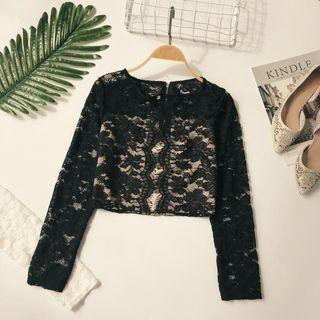 Cropped Lace Long-sleeve Top