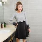 Inset A-line Dress Long-sleeve Cropped Top