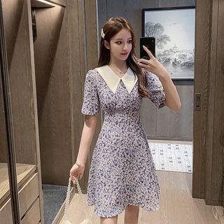 Contrast Collar Short Sleeve Floral Print Chiffon Dress