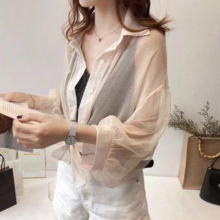 Chiffon Plain Long-sleeve Shirt