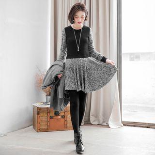 Ribbed Knit Panel A-line Dress