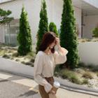 Frill-neck Lace-trim Blouse Cream - One Size