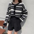 Striped Cardigan / Plain Dress Shorts