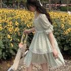 Puff-sleeve Floral Layered A-line Dress
