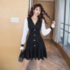 Long-sleeve Two Tone Button-up Mini Dress