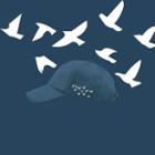 Bird Embroidered Cap Blue - One Size