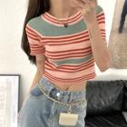 Color Panel Striped Cropped Top Blue & Red - One Size