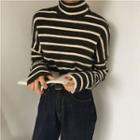 Striped Turtle-neck Loose-fit Long-sleeve Top