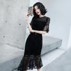 Short-sleeve Dotted Lace Sheath Dress