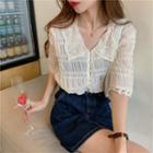 Collared Elbow-sleeve Lace Blouse Almond - One Size