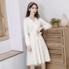 Mesh Panel Tie-waist V-neck Dress