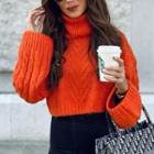 Turtleneck Plain Cable-knit Cropped Sweater