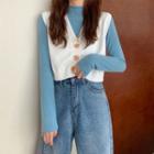 Button-up V-neck Sweater Vest / Long-sleeve Turtleneck T-shirt