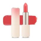 Etude House - Heart Blossom Better Lips-talk S/s Heart Blossom Collection - 5 Colors #or203 Vintage Way