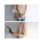 3/4 Sleeve Eyelet Lace Top