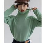 Plain Undershirt Long-sleeve Top ( Various Designs )