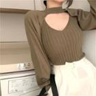 Long-sleeve Plain Cropped Top / Plain Ribbed Camisole