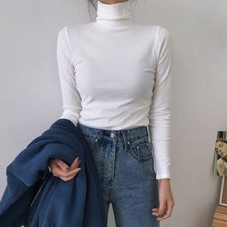 Turtle-neck Plain Skinny Long-sleeve Top