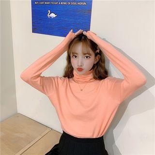 Long-sleeve Plain Turtleneck Top