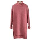 Turtle-neck Long Sweater