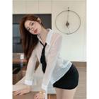 Mini Pencil Skirt / Sheer Shirt With Necktie