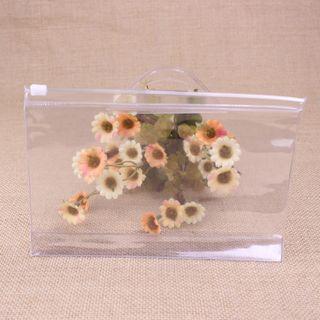 Transparent Pouch
