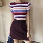 Short-sleeve Striped Knit Top / Mini A-line Skirt