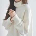 Plain Turtleneck Long-sleeve Sweater