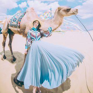 Set: Flower Print Blouse + Maxi Accordion Pleat Skirt