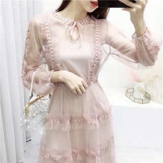 Long Sleeve Sheer Dress
