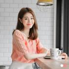 V-neck Lace Raglan Sleeve Top